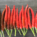 YanJiao425 Chilli Seed F1