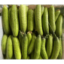 CuiYou3 Cucumber Seed F1