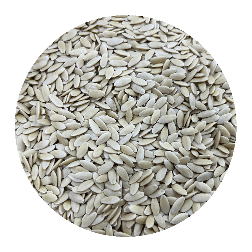 cucumber_seeds1