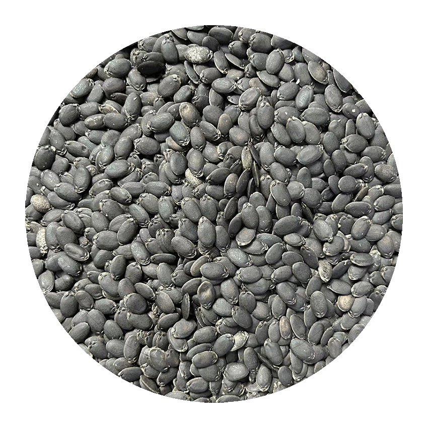 luffa_seed2