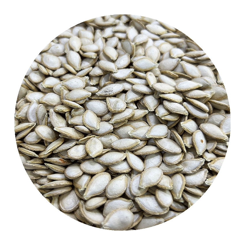 pumpkin_seed