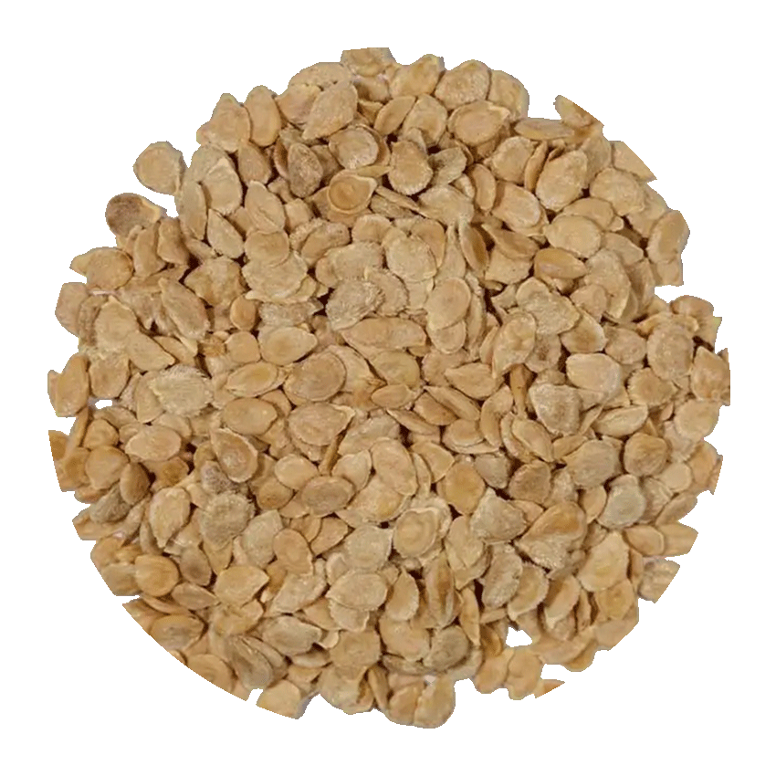 tomato_seed