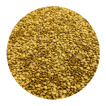 eggplant_seed