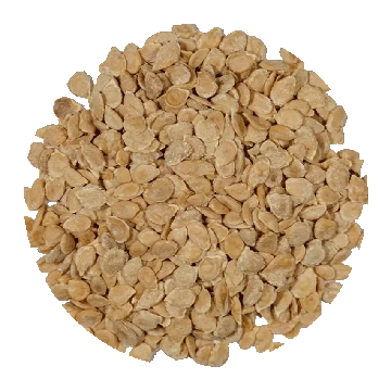 tomato_seed