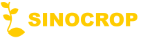 sinocro
